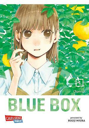 Blue Box - Band 4 (Gebraucht)