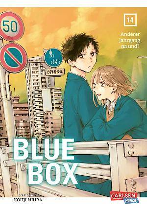 Blue Box - Band 14 (Gebraucht)