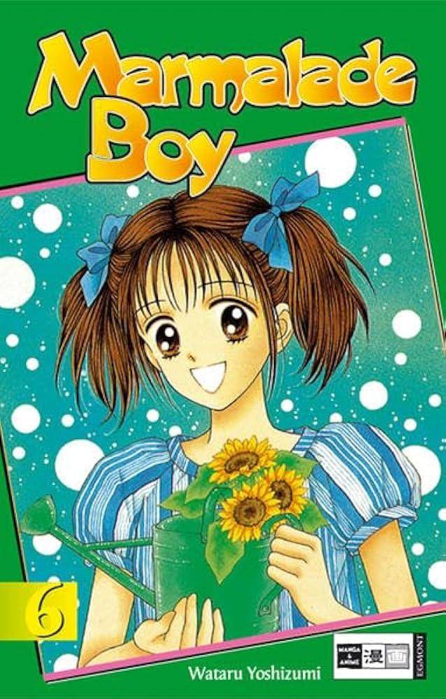 Marmalade Boy - Band 6 (Gebraucht)