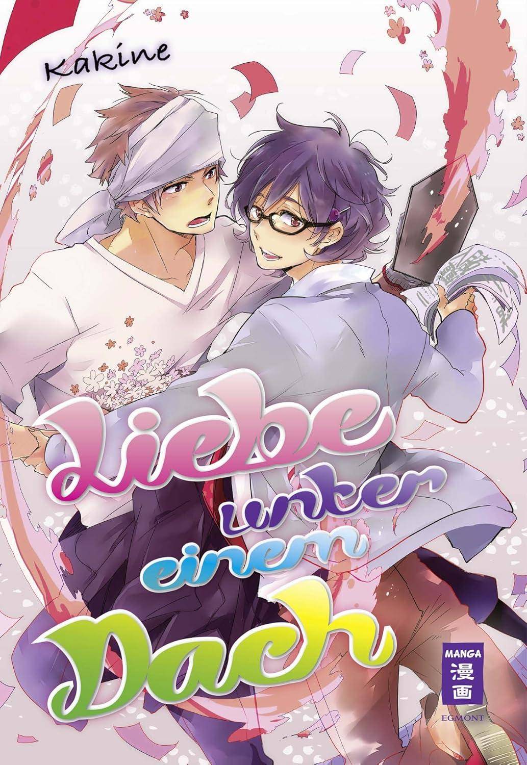 Liebe unter einem Dach (Gebraucht)