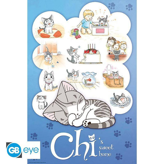 Kleine Katze Chi - Poster Chis Traum - 91,5 x 61 cm