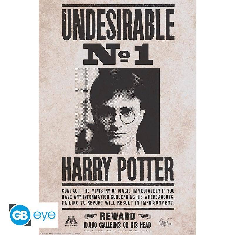 Harry Potter - Poster Harry Unerwünscht Nr.1- 91,5 x 61 cm