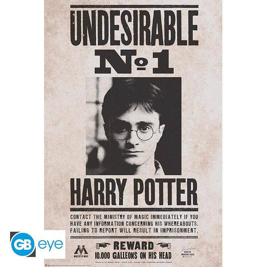 Harry Potter - Poster Harry Unerwünscht Nr.1- 91,5 x 61 cm