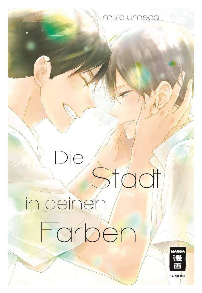 Die Stadt in deinen Farben (Gebraucht)