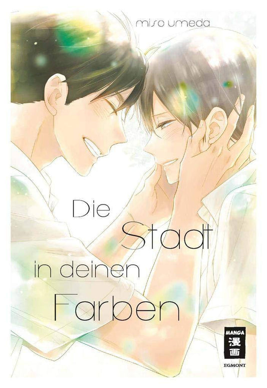 Die Stadt in deinen Farben (Gebraucht)