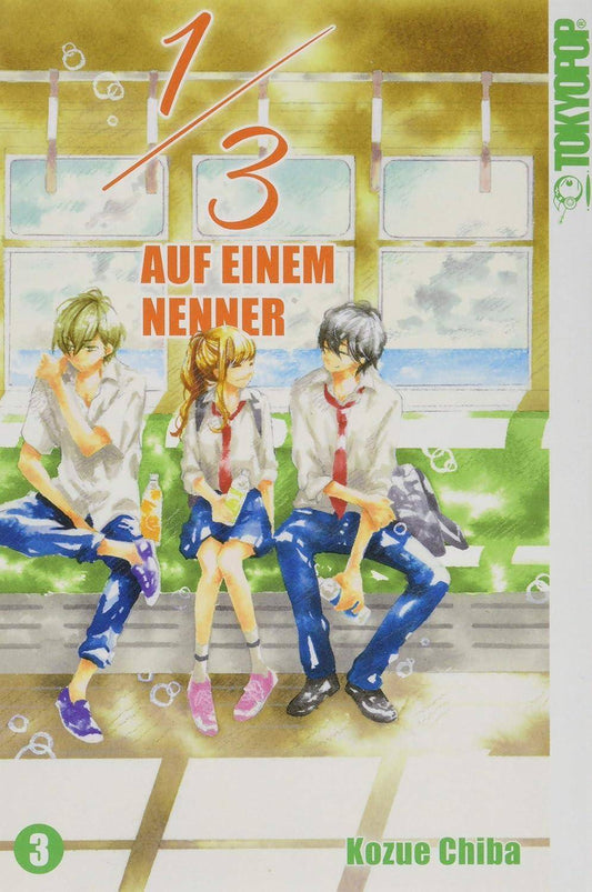 1/3 Auf einem Nenner - Band 3 (Gebraucht)