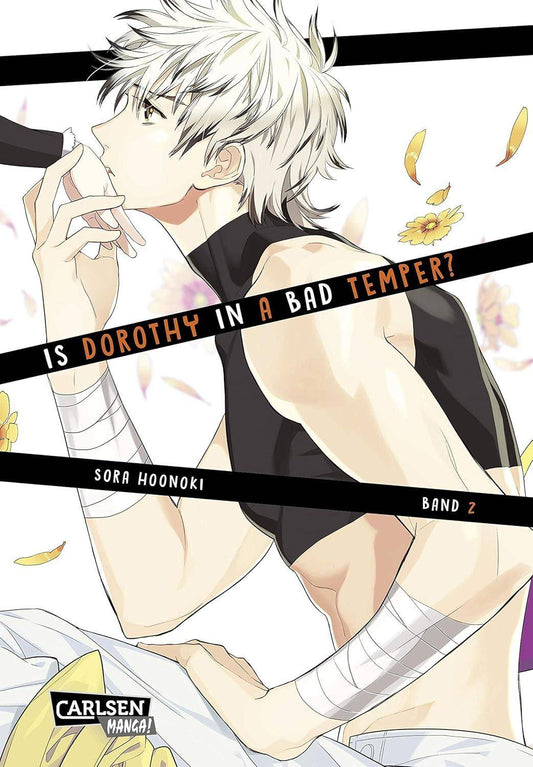 Is Dorothy in a Bad Temper - Band 2 (Gebraucht)