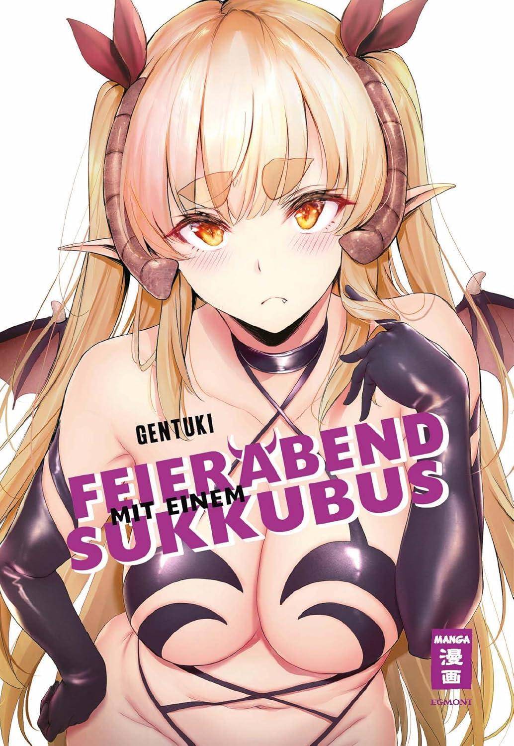 Feierabend mit einem Sukkubus (Gebraucht)