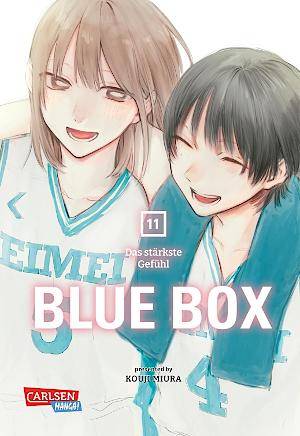 Blue Box - Band 11 (Gebraucht)