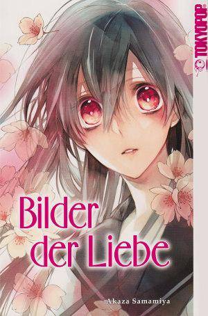 Bilder der Liebe (Gebraucht)