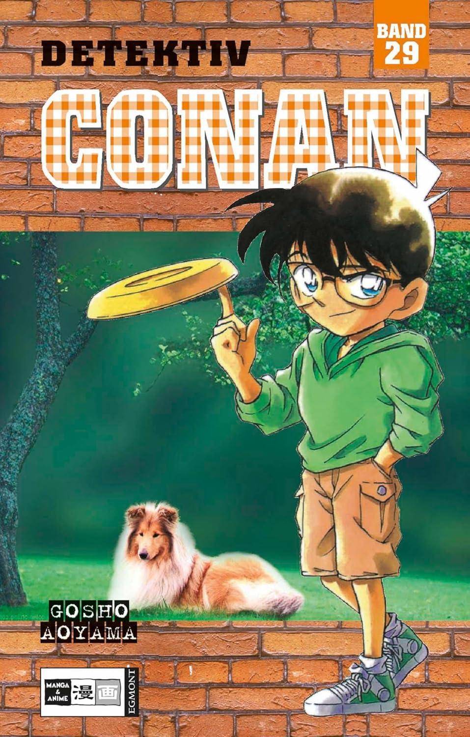 Detektiv Conan - Band 29 (Gebraucht)