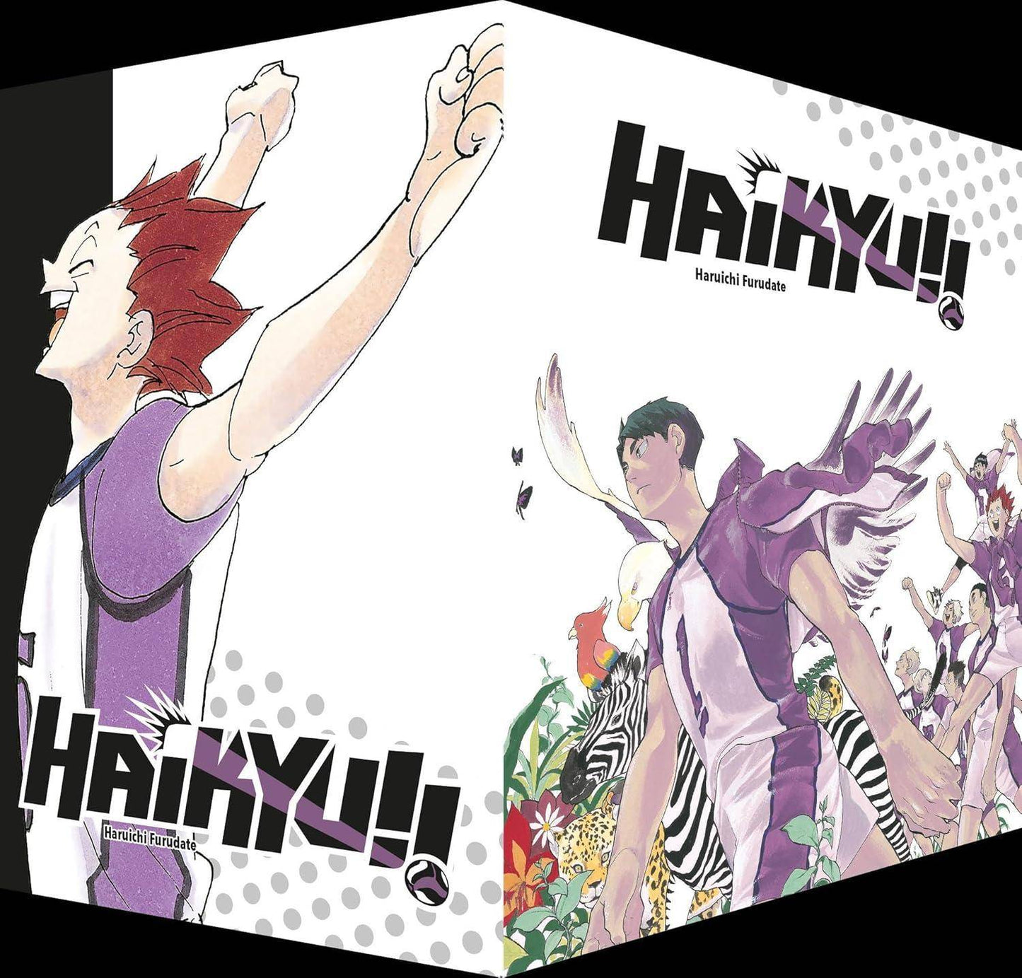 Haikyu!! - Schuber - Band 40 (Gebraucht)