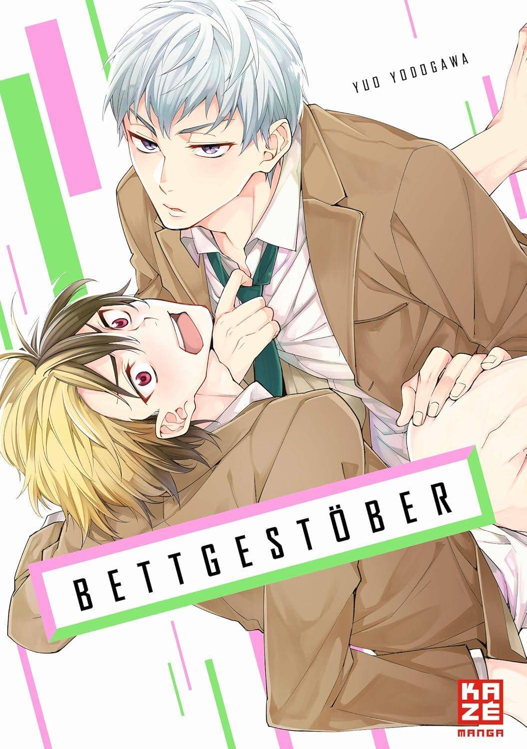 Bettgestöber (Gebraucht)