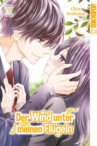 Der Wind unter meinen Flügeln - Band 3 (Gebraucht)