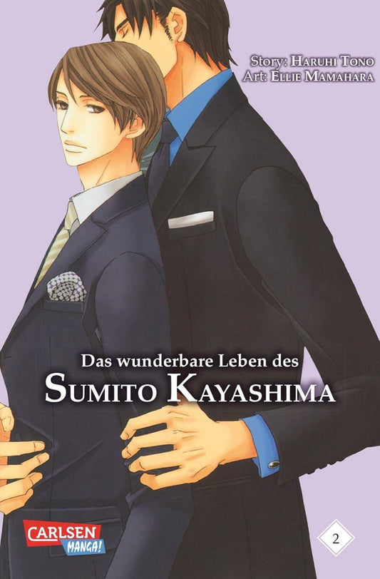 Das wunderbare Leben des Sumito Kayashima - Band 2 (Gebraucht)