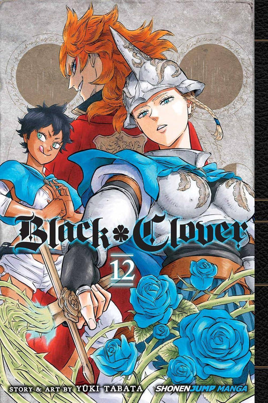 Black Clover - Band 12 - Englisch (Gebraucht)