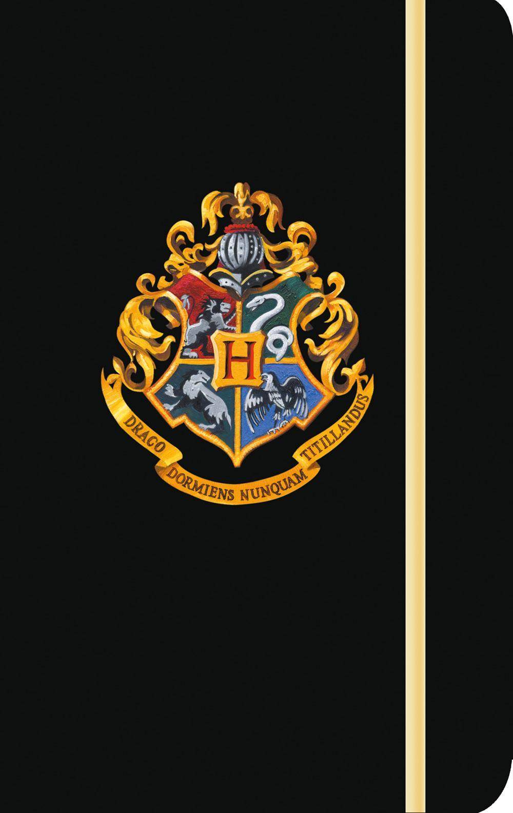 Harry Potter Notizbuch Hogwarts 13 x 21 cm