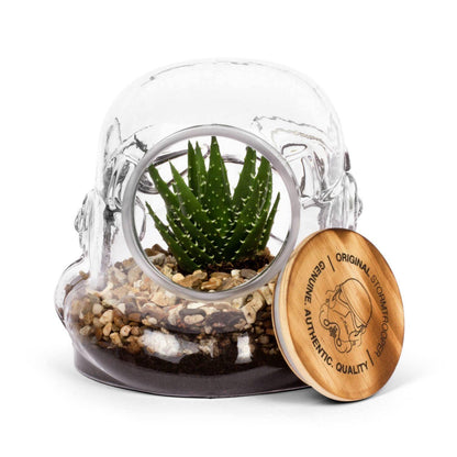Original Stormtrooper Vorratsdose / Terrarium Trooper