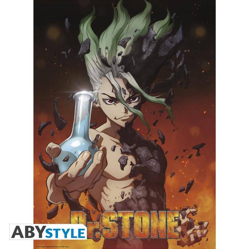 Dr. Stone - Set 2 Chibi Poster - Gruppe & Artwork (52x38)