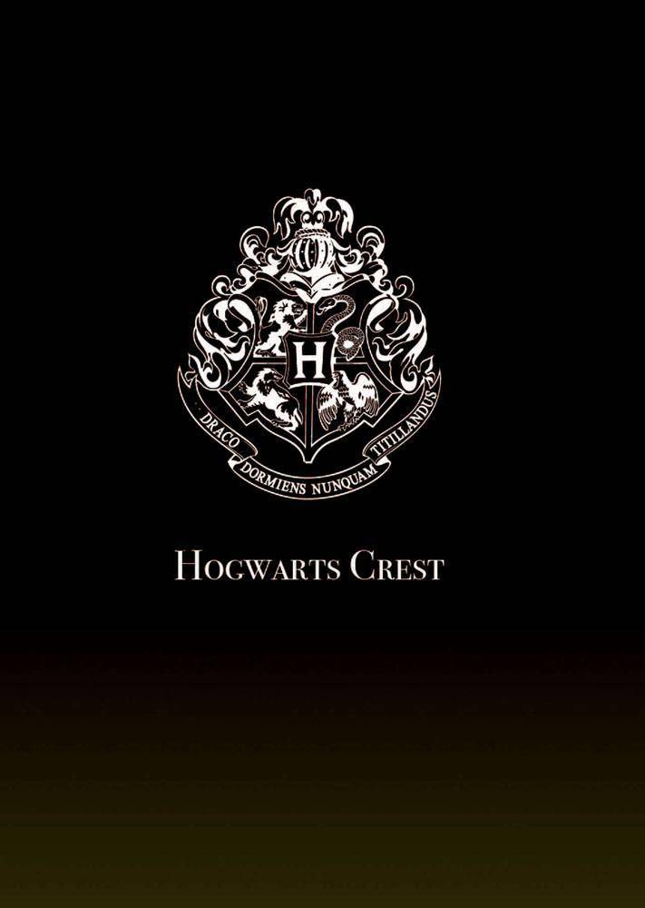 Harry Potter Licht-Projektor Lumos Maxima